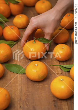 Collections of fresh Tangerines. tangerine slices, juice with leaves. Fruit composition. 042 48789755