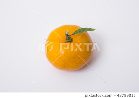 Collections of fresh Tangerines. tangerine slices, juice with leaves. Fruit composition. 002 Collections of fresh Tangerines. tangerine slices, juice with leaves. Fruit composition. 002 48789815