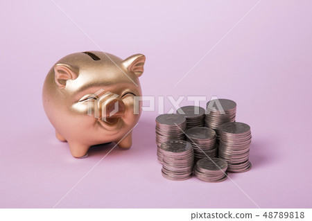 Household budget concept, home budget planning expenses and target money saving props photo 280 48789818