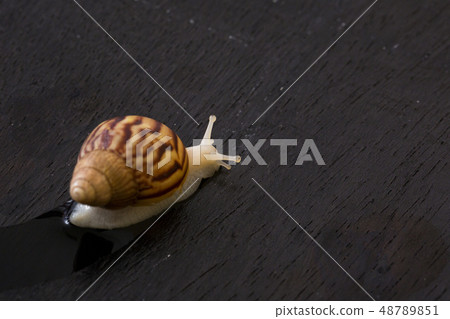 Recycling concept, Garbage for recycling with recycling symbol. Environmental protection concept photo. 125 Recycling concept, Garbage for recycling with recycling symbol. Environmental protection concept photo. 125 48789851