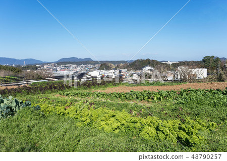 山上的農場 山上的農場 48790257