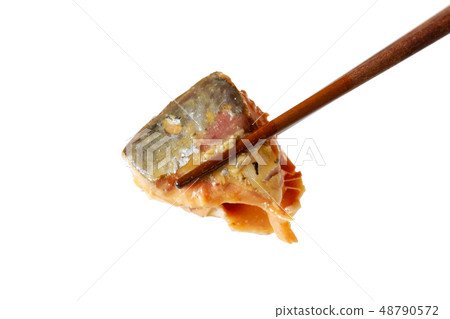 用味噌煮的罐頭 48790572