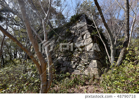 八幡山城堡遺址 48790718