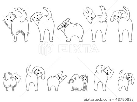 A set of dogs with hips Small and large dogs Line drawings A set of dogs with hips Small and large dogs Line drawings 48790852