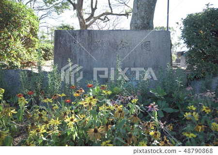 Castle ruins Park Stone monument 48790868