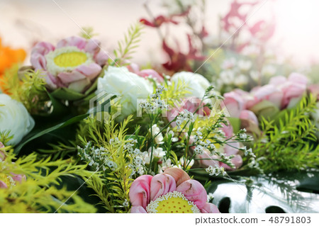 Colorful various species of flower in the tropical 48791803