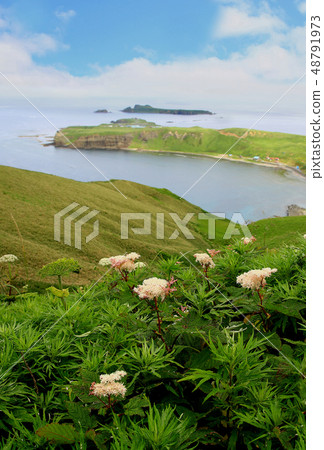 Rebun Island, Hokkaido 48791973