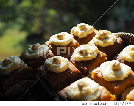 Slice of carrot cake with cream cheese frosting 48792129
