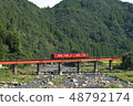 橫跨橋的本地線 48792174