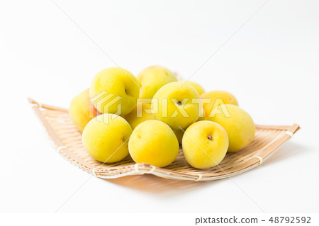 Plum wine Plum wine 48792592