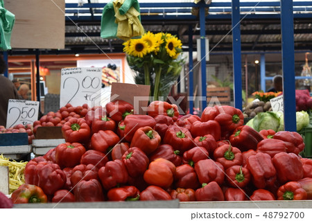 古老的首都克拉科夫市 48792700