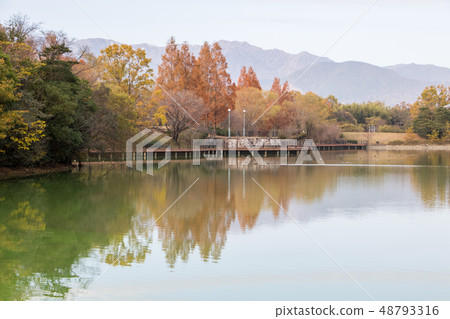 Fall of the park 48793316