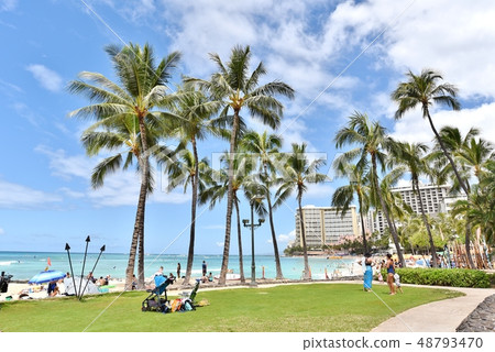 Holidays in Hawaii Holidays in Hawaii 48793470