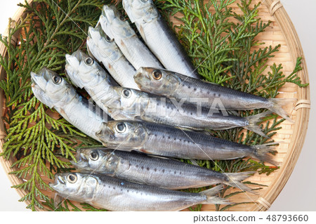 Dried sardines Dried sardines 48793660