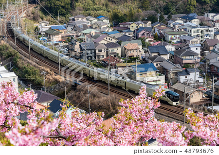 Shikisai島 48793676