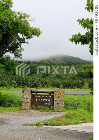 Hokkaido Rishiri Island Otatomari swamp Hokkaido Rishiri Island Otatomari swamp 48793688