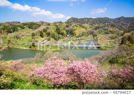 Sakuma水壩湖 48794637