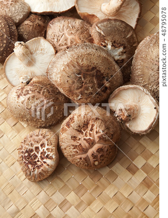 香菇栽培 香菇栽培 48795078