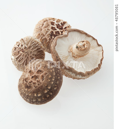 香菇栽培 48795081