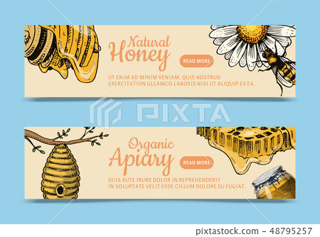 Honey waxing bee and beehive flyer. Poster organic honey and apiary, beehive and chamomile dessert 48795257