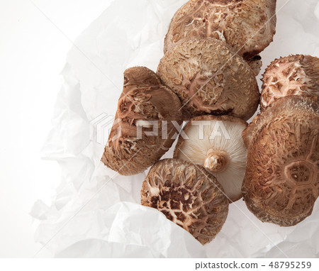 香菇栽培 48795259