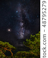 Milky Way and Ryukyu pine / Okinawa 48795279