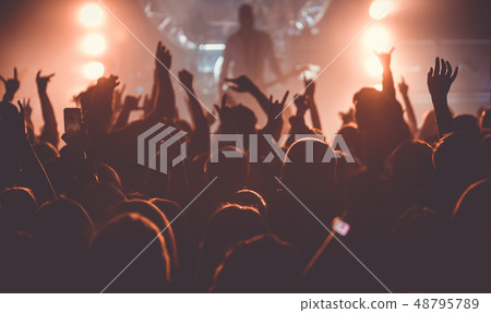 Audience at rock concert 48795789