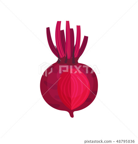 Root vegetable concept. Beet on white background. 48795836