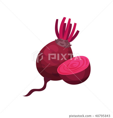 Beet cut. Beetroot concept and seasonal harvest. Beet cut. Beetroot concept and seasonal harvest. 48795843