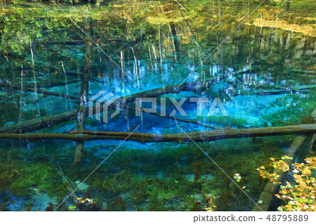 Hokkaido God's pond 48795889