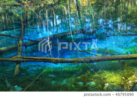 Hokkaido God's pond 48795890