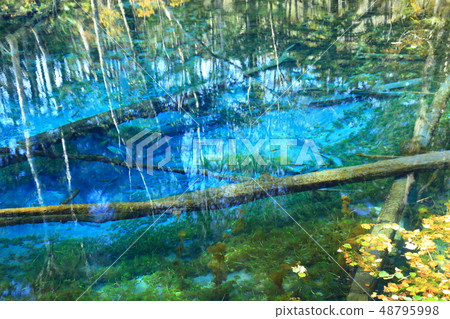 北海道上帝的池塘 48795998