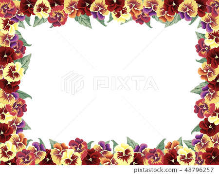 Pansy frame red type Pansy frame red type 48796257