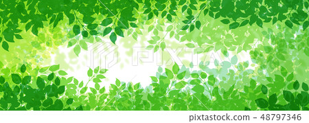 綠色的植物和陽光 綠色的植物和陽光 48797346