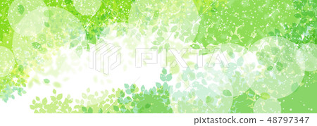 綠色的植物和陽光 綠色的植物和陽光 48797347