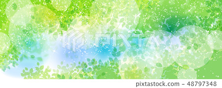 Green plant and sunbeams Green plant and sunbeams 48797348