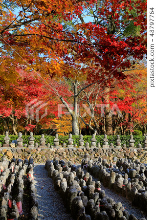 Adashino Nembutsu寺廟秋葉 48797764