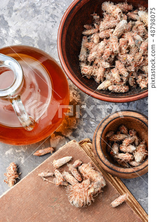Pine buds, natural healer Pine buds, natural healer 48798075
