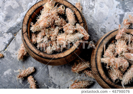 Pine buds, natural healer Pine buds, natural healer 48798076