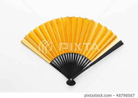 金折扇 48798087