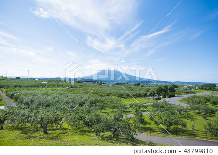 弘前市蘋果園 48799810