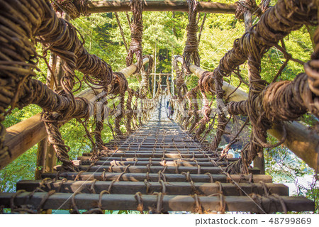 Iya的Kazura橋 48799869