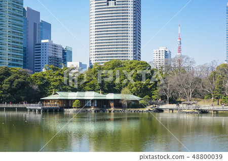 中島茶館和高層建築 48800039