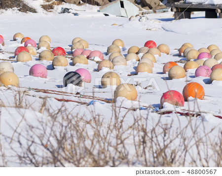 Buoys lined up on the snow beach 48800567