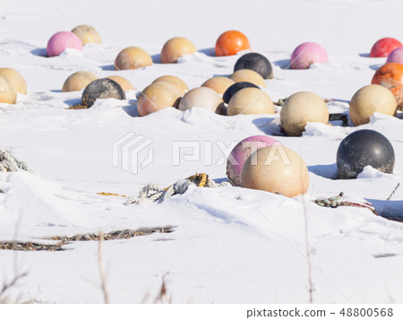 Buoys lining the snow beach 48800568