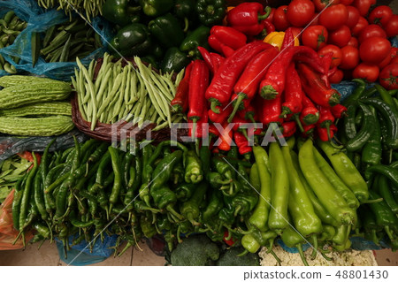 Public market in Guangdong Province 48801430