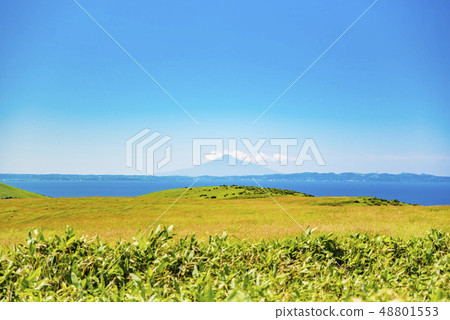 利尻島 利尻島 48801553