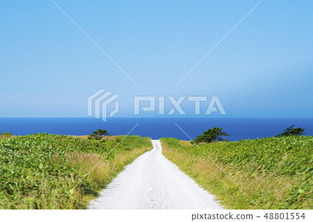 白路（稚內） 48801554