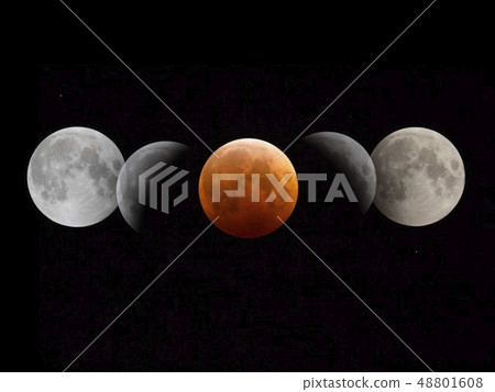 星雲 星雲 48801608