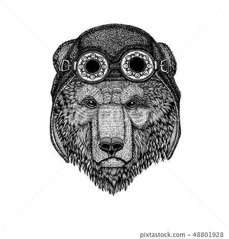 Cute animal wearing motorcycle, aviator helmet Brown bear Russian bear Hand drawn image for tattoo Cute animal wearing motorcycle, aviator helmet Brown bear Russian bear Hand drawn image for tattoo 48801928